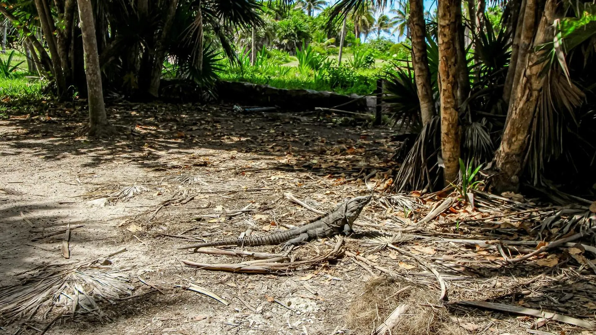 Tankah 52 M-202 Apartment Tulum